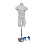 Deluxe Male 3/4 Torso, White w/ Hanging Loop and Accompanying Stand